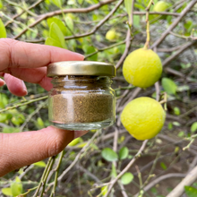 Load image into Gallery viewer, Mint Ginger Lemon Squash