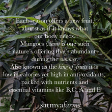 Load image into Gallery viewer, Raw Mango Relish