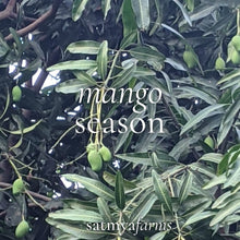 Load image into Gallery viewer, Raw Mango Relish