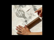 Load and play video in Gallery viewer, Wellness Sampler Gift Box