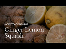 Load and play video in Gallery viewer, Mint Ginger Lemon Squash