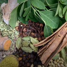 Load image into Gallery viewer, Moringa Spice Powder